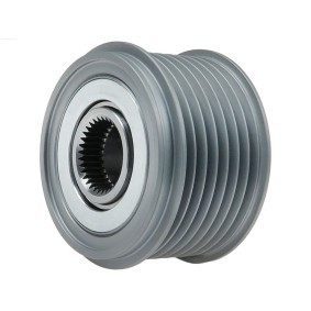 Compre Roda livre do alternador da AS-PL AFP6061S a um preço baixo por 21,01 €
