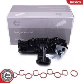 Comprar Módulo colector de admisión de ESEN SKV 49SKV077 a bajo precio de 207,00 €