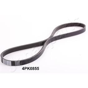 Keilrippenriemen DV-4PK0855 von JAPANPARTS günstig für 8,13 € online kaufen