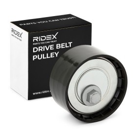 Spannrolle, Keilrippenriemen für FIAT von RIDEX