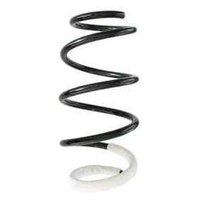 Fahrwerksfeder GKNW10046 von SPIDAN günstig für 63,24 € online kaufen