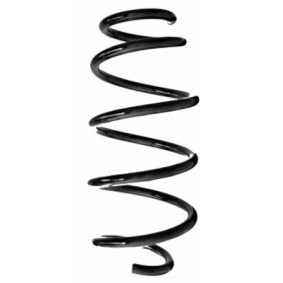 Fahrwerksfeder GKNW10075 von SPIDAN günstig für 77,44 € online kaufen