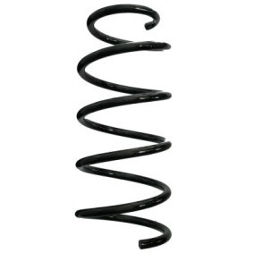 Fahrwerksfeder GKNW10077 von SPIDAN günstig für 50,08 € online kaufen