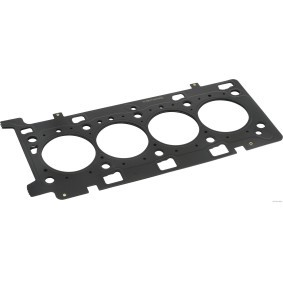 Acquista Guarnizione testata da HERTH+BUSS JAKOPARTS J1251165 a buon mercato per soli 60,19 €
