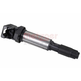 Acquista Bobina d'accensione da METZGER 0880546 a buon mercato per soli 29,18 €