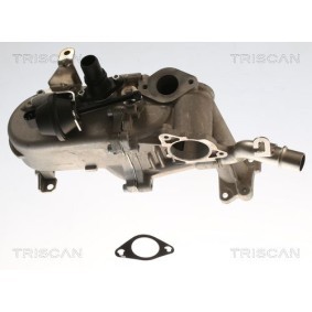 AGR Kühler 8813 16115 von TRISCAN günstig für 332,51 € online kaufen