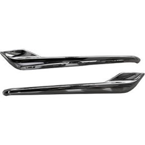 Acquista Mostrina, Griglia radiatore da DIEDERICHS 1886841 a buon mercato per soli 119,71 €