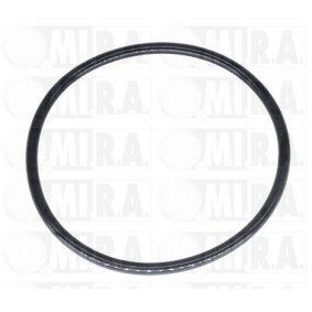 Acquista Guarnizione collettore scarico da MI.R.A. 13/4121G a buon mercato per soli 43,54 €