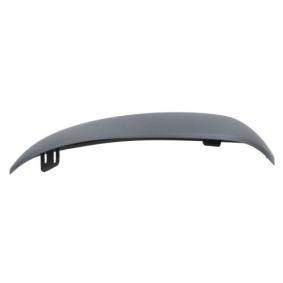 Spiegelglas, Außenspiegel 6102-02-2475310P von BLIC günstig für 41,49 € online kaufen