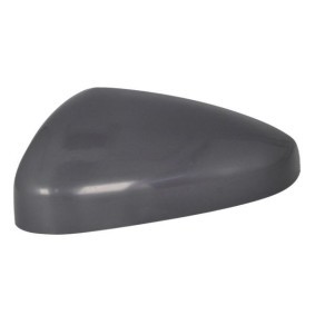 Spiegelglas, Außenspiegel 6102-16-2384314P von BLIC günstig für 49,45 € online kaufen