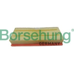 Compre Filtro de ar da Borsehung B12403 a um preço baixo por 14,19 €