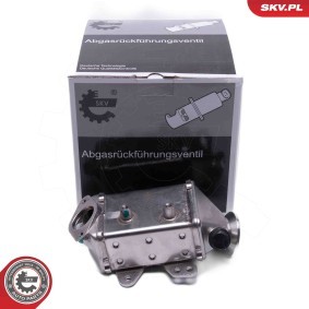 Acquista Radiatore EGR da ESEN SKV 14SKV249 a buon mercato per soli 180,85 €