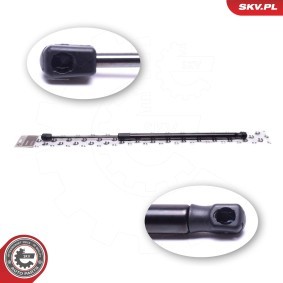 Compre Amortecedor da mala de ESEN SKV online para FOCUS III Turnier a preços moderados