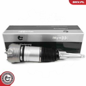 Luftfederbein 58SKV707 von ESEN SKV günstig für 822,83 € online kaufen
