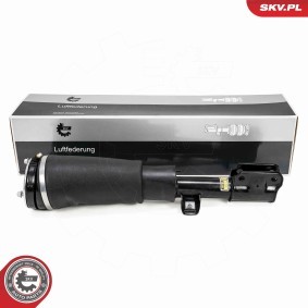 Compre Amortecedor pneumático da ESEN SKV 58SKV709 a um preço baixo por 489,34 €