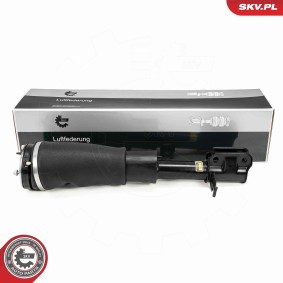 Compre Amortecedor pneumático da ESEN SKV 58SKV710 a um preço baixo por 489,34 €