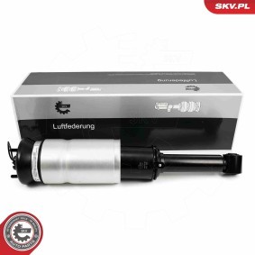 Compre Amortecedor pneumático da ESEN SKV 58SKV712 a um preço baixo por 313,20 €
