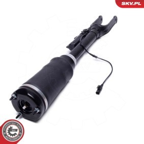 Compre Amortecedor pneumático da ESEN SKV 58SKV714 a um preço baixo por 317,79 €
