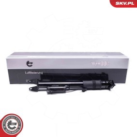 Compre Amortecedor pneumático da ESEN SKV 58SKV715 a um preço baixo por 205,19 €
