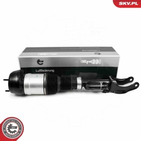 Compre Amortecedor pneumático da ESEN SKV 58SKV716 a um preço baixo por 533,02 €
