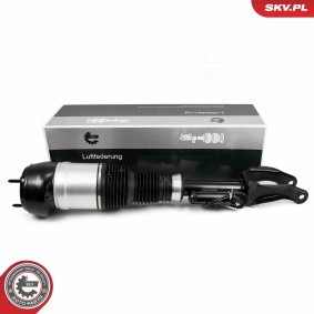 Compre Amortecedor pneumático da ESEN SKV 58SKV717 a um preço baixo por 510,89 €