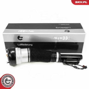 Compre Amortecedor pneumático da ESEN SKV 58SKV718 a um preço baixo por 394,52 €