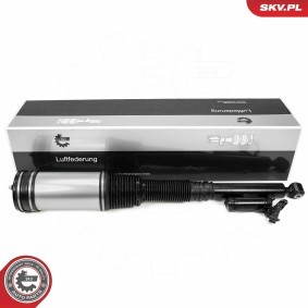 Compre Amortecedor pneumático da ESEN SKV 58SKV719 a um preço baixo por 289,51 €