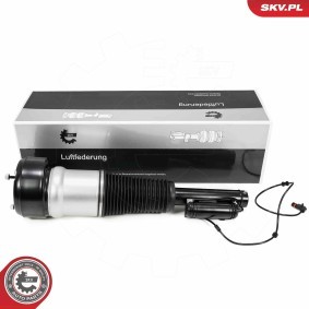 Compre Amortecedor pneumático da ESEN SKV 58SKV720 a um preço baixo por 382,36 €