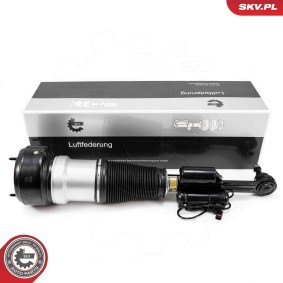 Compre Amortecedor pneumático da ESEN SKV 58SKV721 a um preço baixo por 403,04 €