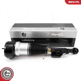 Compre Amortecedor pneumático da ESEN SKV 58SKV722 a um preço baixo por 579,34 €