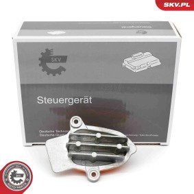 Compre Relé de intermitência da ESEN SKV 59SKV243 a um preço baixo por 59,08 €