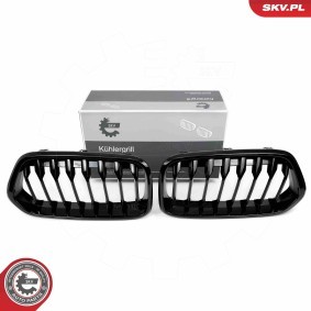 Compre Grelha de ESEN SKV online para X2 (F39) a preços moderados