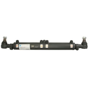 Acquista Cilindro operativo, Servosterzo da REINHOCH RH59-9001 a buon mercato per soli 379,28 €