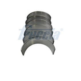 Pleuellagersatz CR19-100807 von FRECCIA günstig für 9,99 € online kaufen