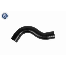 Kühlerschlauch A37-0158 von ACKOJA günstig für 30,72 € online kaufen