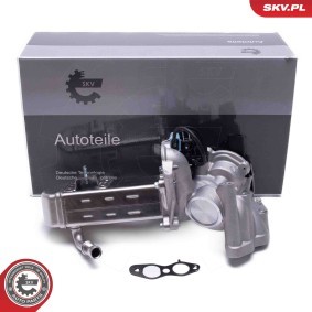 Comprar Válvula EGR de ESEN SKV 14SKV238 a bajo precio de 454,20 €