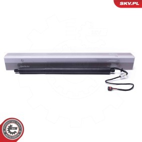 Heckklappe-Motor 52SKV950 von ESEN SKV günstig für 201,15 € online kaufen
