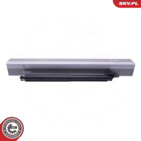 Acquista Motore elettrico, Cofano posteriore da ESEN SKV 52SKV962 a buon mercato per soli 40,43 €
