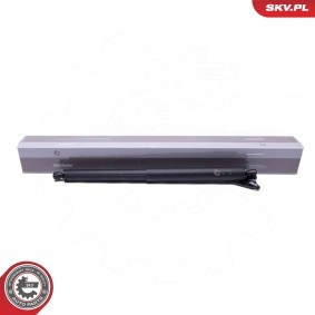Acquista Motore elettrico, Cofano posteriore da ESEN SKV 52SKV963 a buon mercato per soli 40,43 €