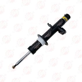 Compre Amortiguadores de COSMOPARTS online para X6 (G06, F96) a precios moderados