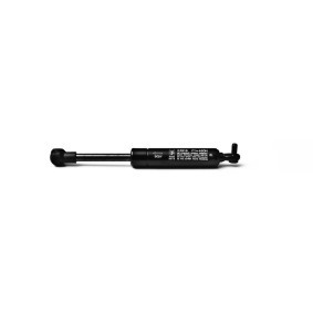Heckklappendämpfer 23916 von FA KROSNO günstig für 17,99 € online kaufen