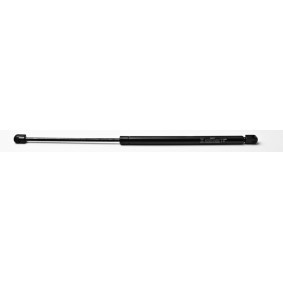 Heckklappendämpfer 24417 von FA KROSNO günstig für 17,68 € online kaufen