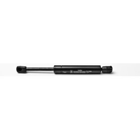 Heckklappendämpfer 24984 von FA KROSNO günstig für 28,19 € online kaufen