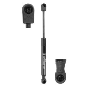 Acquista Ammortizzatore pneumatico, Regolazione sedile da FA KROSNO 31389 a buon mercato per soli 16,10 €