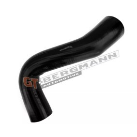 Compre Tubo flexível do ar de sobrealimentação da GT-BERGMANN GT52-696 a um preço baixo por 20,29 €