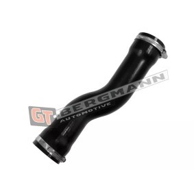 Compre Tubo flexível do ar de sobrealimentação da GT-BERGMANN GT52-790 a um preço baixo por 35,75 €