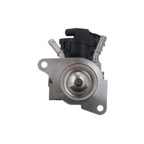 AGR-Ventil 703203 von VALEO günstig für 122,86 € online kaufen
