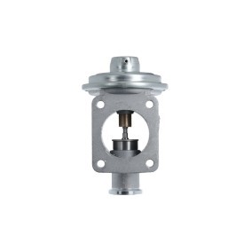 AGR-Ventil 703239 von VALEO günstig für 83,27 € online kaufen