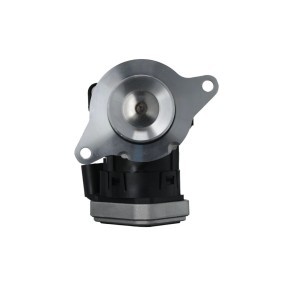 AGR-Ventil 703262 von VALEO günstig für 315,43 € online kaufen