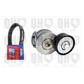 Achetez des Kit de courroie d'accessoire de chez QUINTON HAZELL en ligne pour Kuga Mk1 (C394) à prix modérés